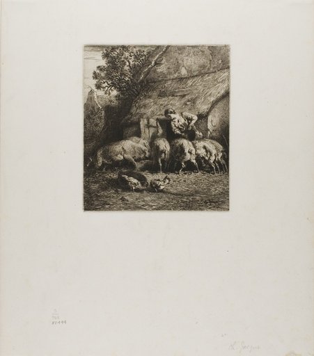 Woman Feeding Six Pigs