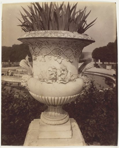 Versailles, Vase