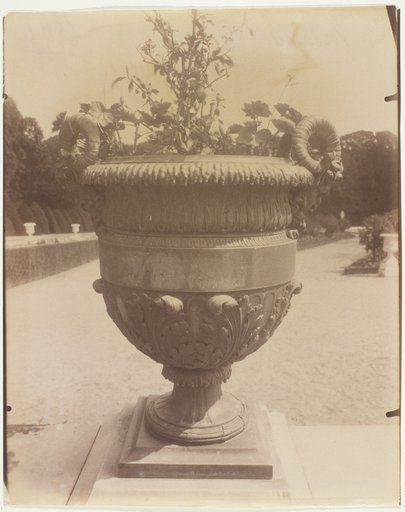 Versailles, Vase par Ballin