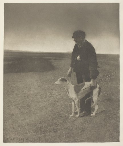 The Poacher - A Hare in View, (Suffolk)