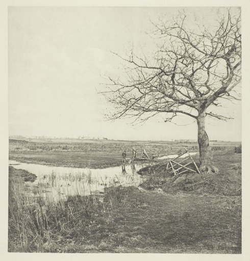 Leafless March (Suffolk)