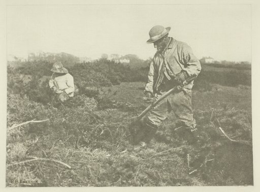 Furze-Cutting on a Suffolk Common