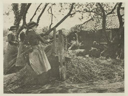 Osier-Peeling (Norfolk)