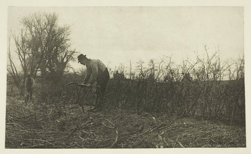 Fencing in Suffolk
