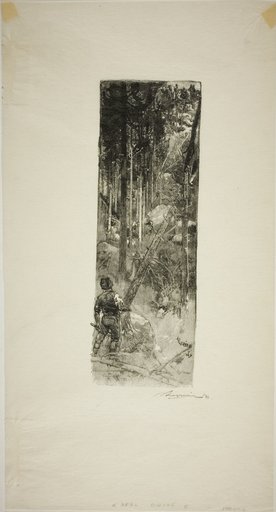 Falling Pines