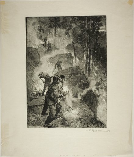 Fern Burners in the Forest