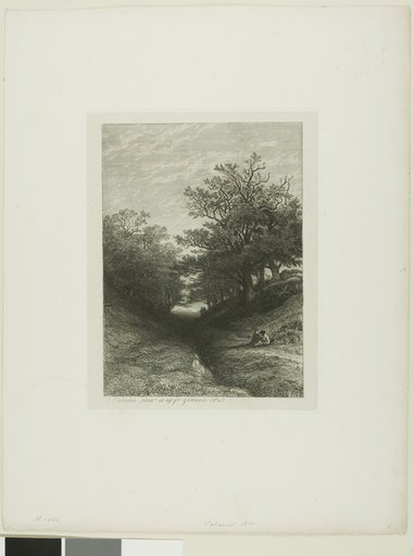 Alpine Landscape