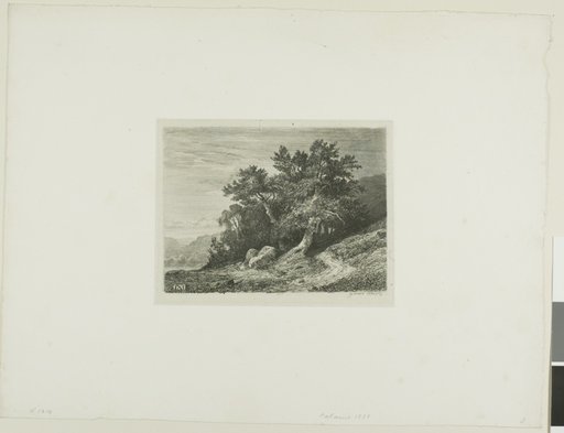 Alpine Landscape