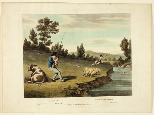 Delights of Fishing