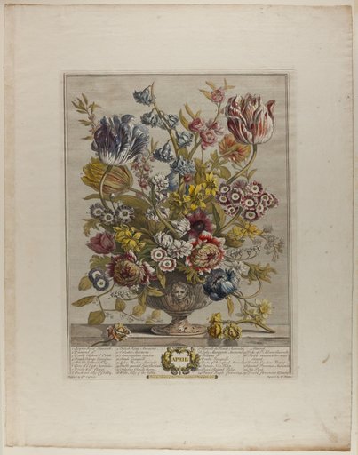 April, from Twelve Months of Flowers