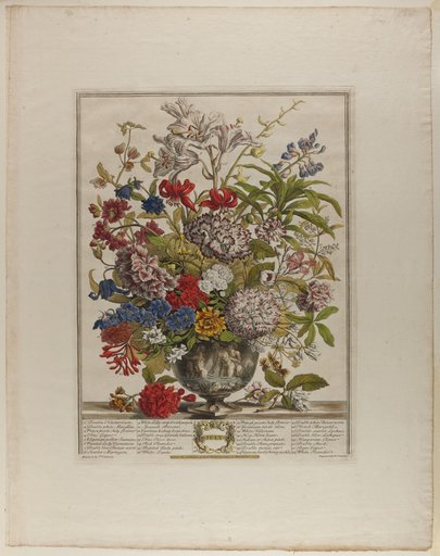 July, from Twelve Months of Flowers