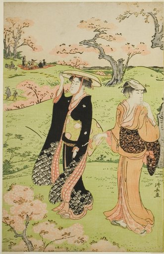 Cherry Blossom Viewing at Asuka Hill