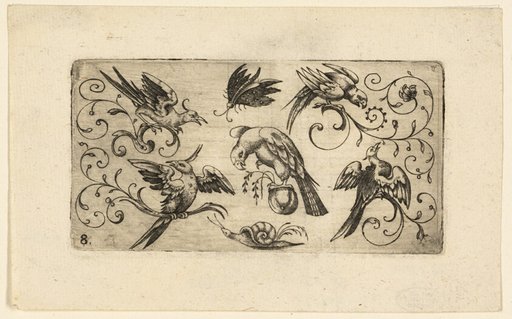Ornament Panels with Birds: Plate 8