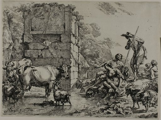 Cow Drinking