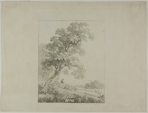 Landscape with a Large Tree