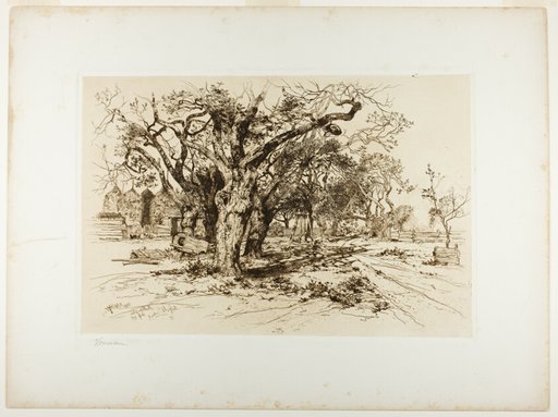 Mulford's Orchard, Easthampton