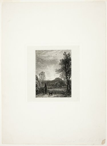 The Skylark