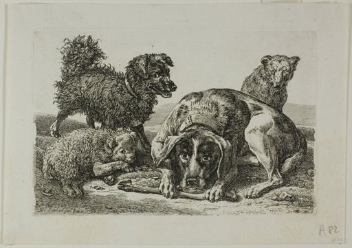Four Dogs, from Die Zweite Thierfolge