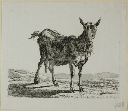 Standing Goat, from Die Zweite Thierfolge