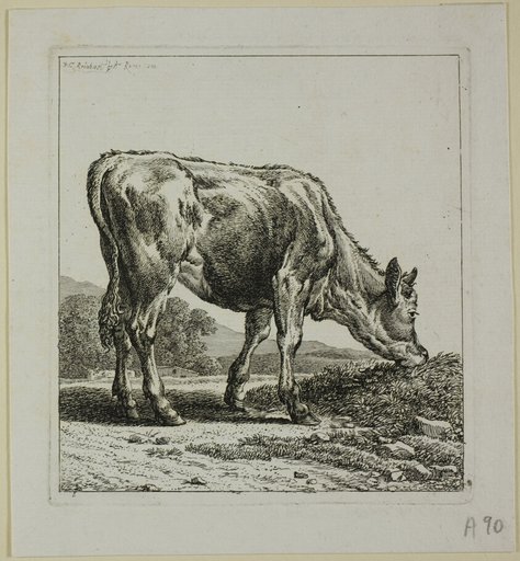 Calf Feeding, from Die Zweite Thierfolge