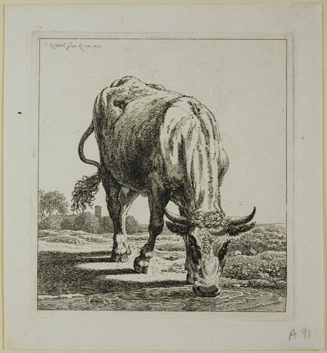 Cow Drinking, from Die Zweite Thierfolge
