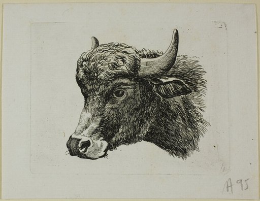 Buffalo Head Facing Left, from Die Zweite Thierfolge