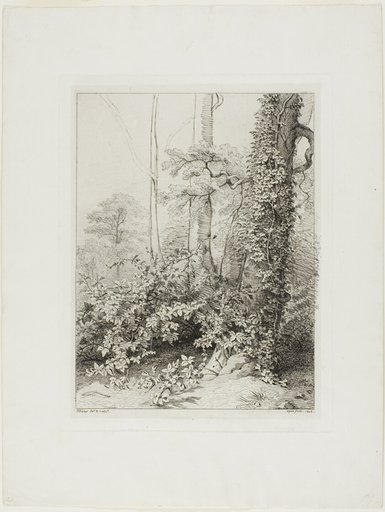 Bramble and Ivy