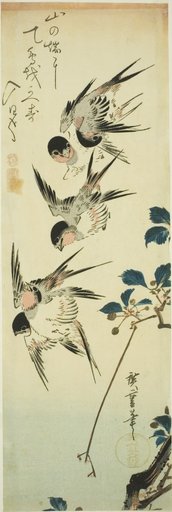 Swallows and flowering branch