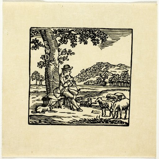 Book Illustration