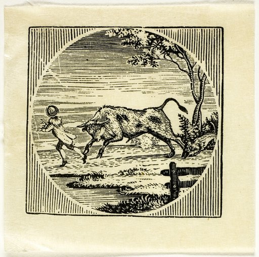 Book Illustration