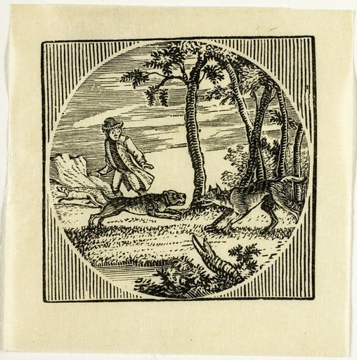 Book Illustration
