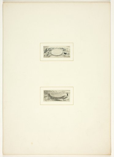 Study for a plate from The Task