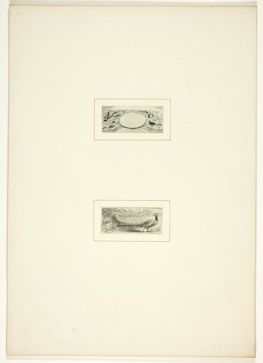Study for a plate from The Task