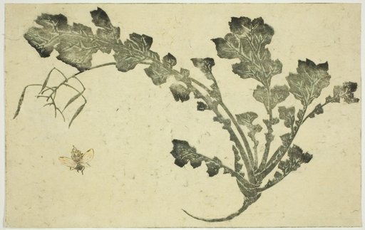 Wasp and turnip stalk, from "The Picture Book of Realistic Paintings of Hokusai (Hokusai shashin gafu)"