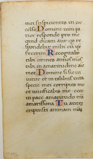 Illuminated Manuscript Leaf