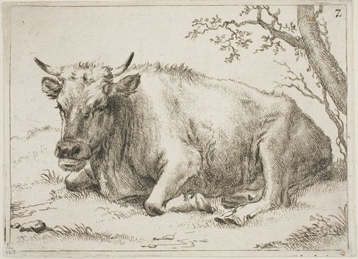 Cow Lying Beside a Tree, plate 7 from Eight Bulls and Cows