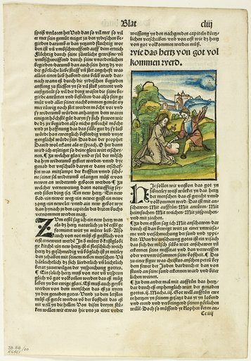 How the Heart Will Be Perfected by God from Der beschlossen gart des rosenkratz marie, plate twenty from Woodcuts from Books of the XVI Century