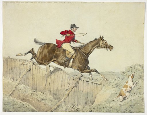 Pink Coated Rider