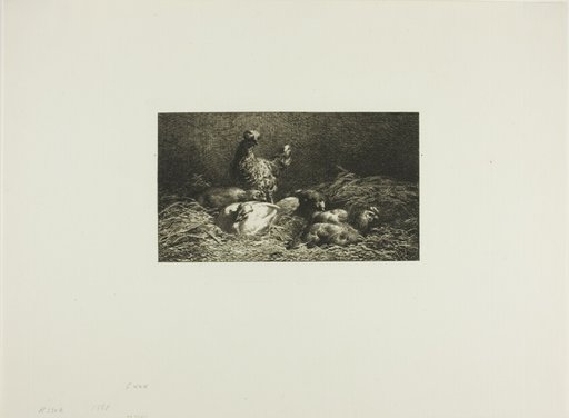 Chickens in Their Roost