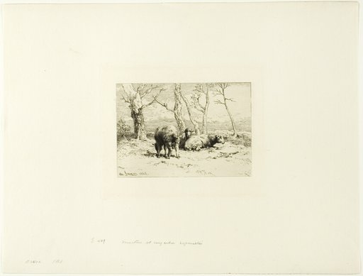 Sheep and Five Trees