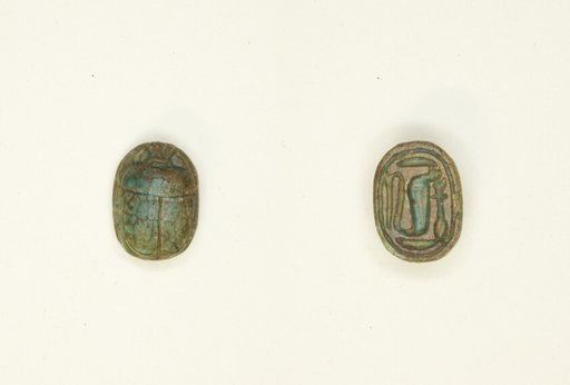 Scarab: Cobra