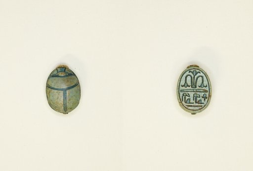 Scarab: Floral Motif