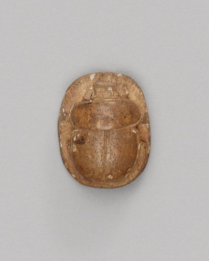 Scarab