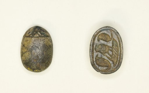 Scarab: Confronted Cobras with Falcon