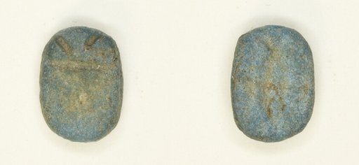 Scarab: Central Cable (?)