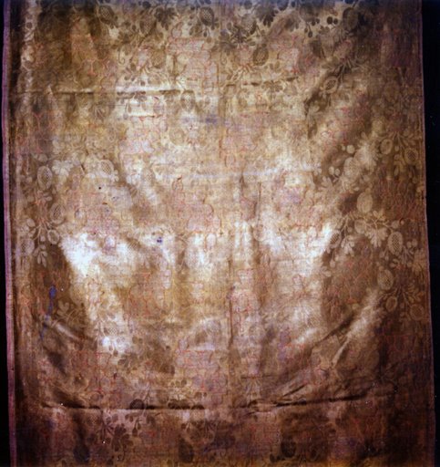 Panel