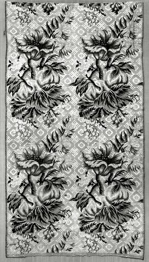 Panel