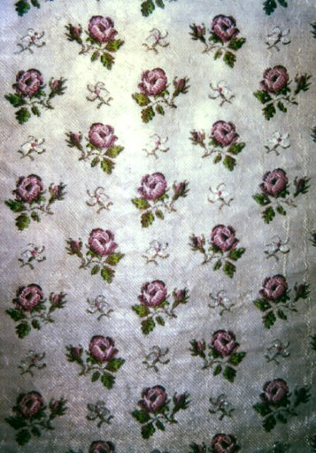 Panel