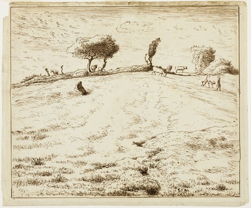 Landscape - Hillside in Gruchy, Normandy