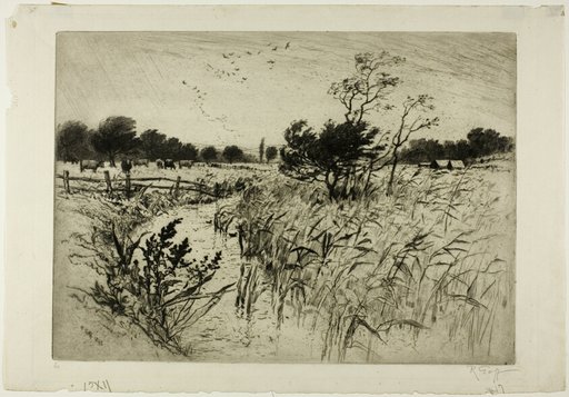 A Windy Day